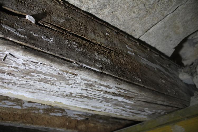 Couvent des Cordeliers [Savenay - 44195] : Aile ouest, plancher du rez-de-chaussée : détail d’une solive moulurée