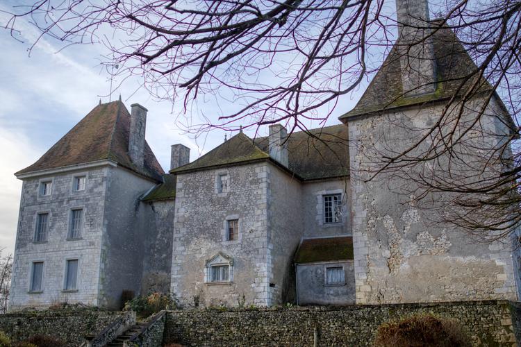 Château du Ry-Chazerat [Journet - 86118] : Vue générale du château depuis le nord